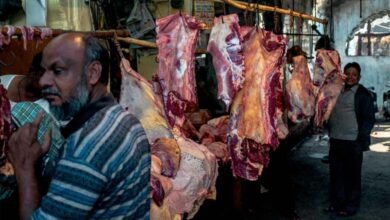 Hyderabad: GHMC Shuts Down Illegal Meat Shops