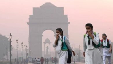 13 Out of 20 Most Polluted Cities Are in India Meghalayas Byrnihat on Top Delhi Most Polluted Capital