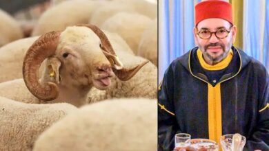 Moroccan King Urges People to Avoid Sheep Sacrifice on Eid al-Adha