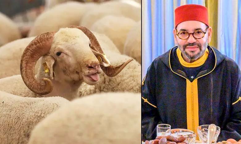 Moroccan King Urges People to Avoid Sheep Sacrifice on Eid al-Adha