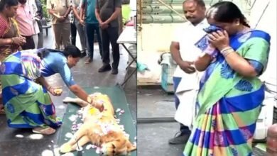 Telanganas Forest Minister Cries Over Pet Dogs Death