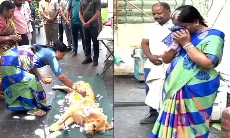 Telanganas Forest Minister Cries Over Pet Dogs Death