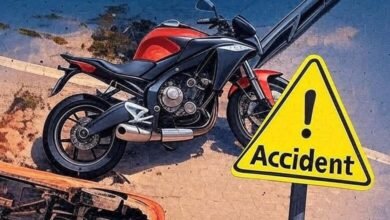 5 Members of the Same Family Die in Road Accident 4 Children Among the Dead