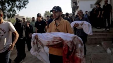 Gaza Crisis 105 Palestinians Killed in 24 Hours by Israeli Attacks