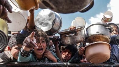 Gazas Children Are Dying from Hunger War Means Hunger and Destruction UN Agency UNRWA