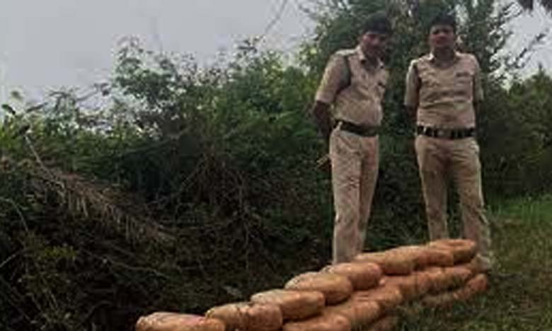 Huge Ganja Seizure in Aswaraopet Telangana