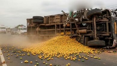 Mango truck overturns in Andhra Pradesh 9 workers die 10 injured